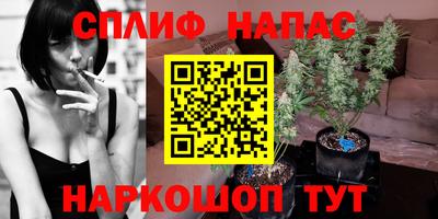 PSILOCYBIN Кулебаки