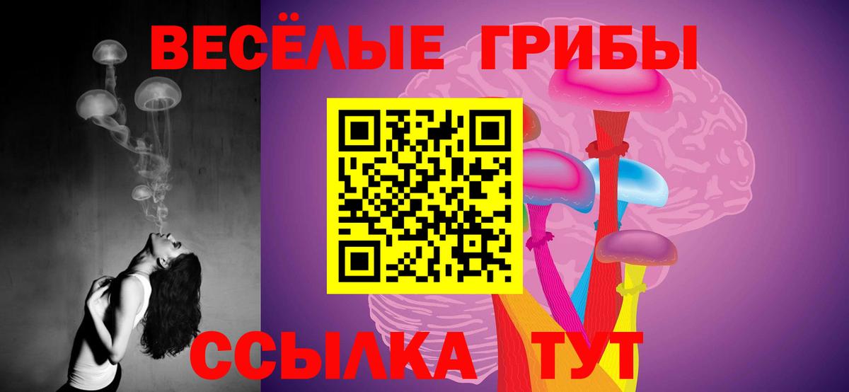 Чапаевск  Галлюциногенные грибы прущие грибы  где найти   Вход с VPN 
